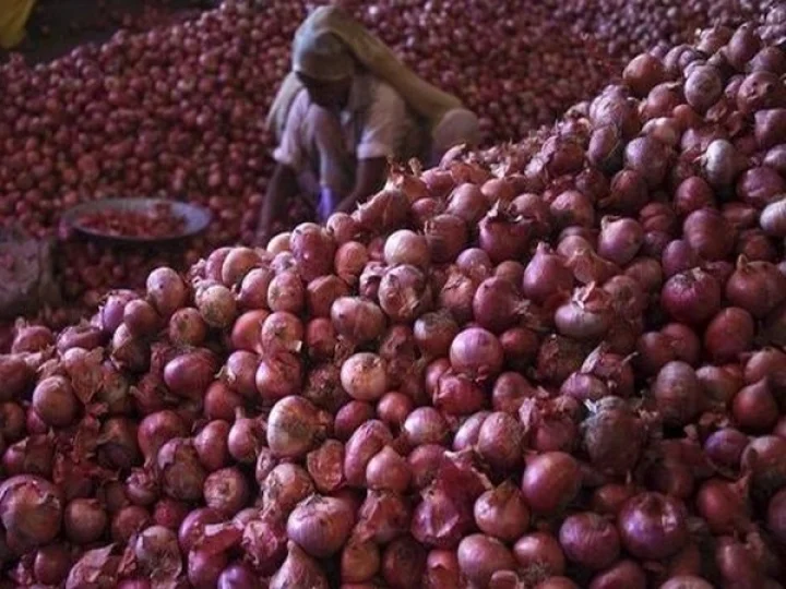 ડુંગળી