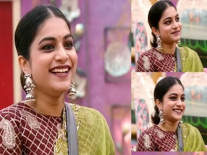 Bigg Boss Telugu 3