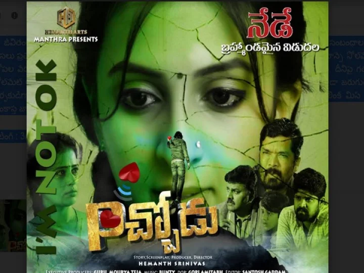 Pichodu Telugu movie review