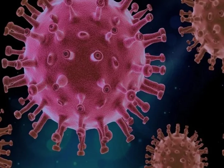 strong immune system