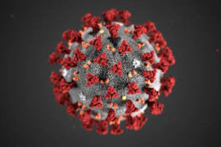 Corona virus
