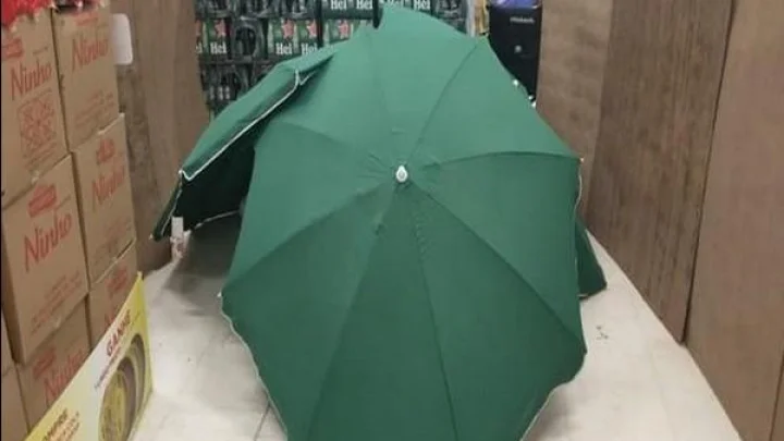 अरे वा ! जुन्या छत्रीचा वापर असा देखील होऊ शकतो.