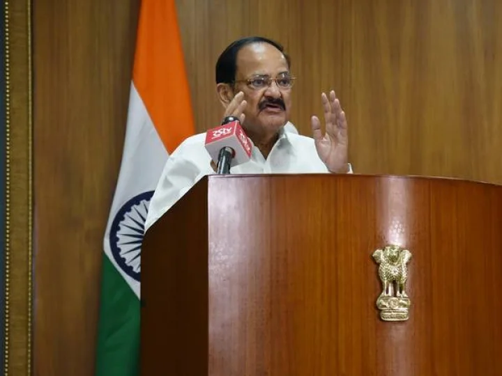 Vice President