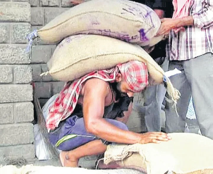 Haryana Wrestler