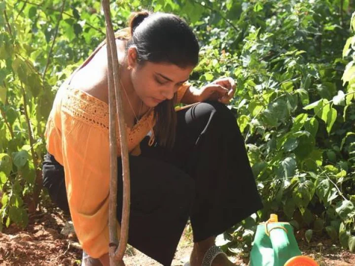 Green India Challenge