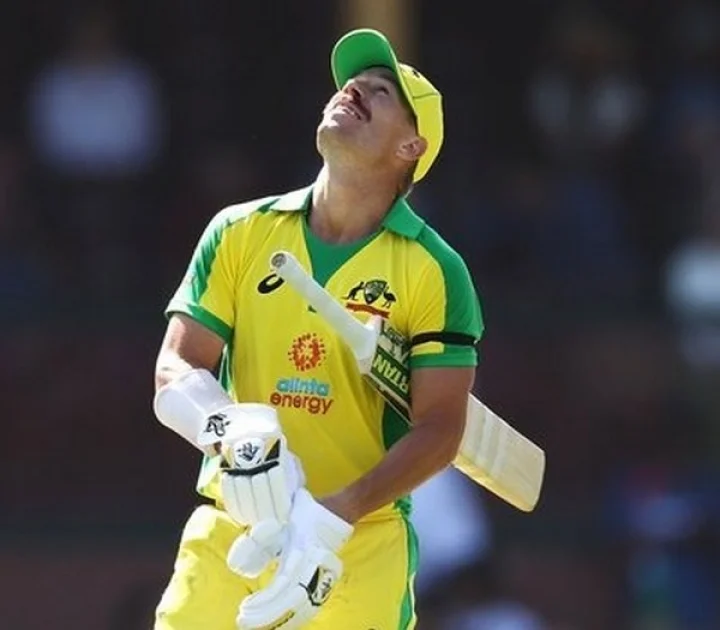 david warner