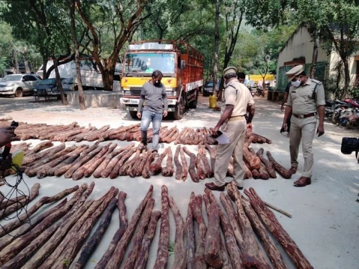 red sandalwood