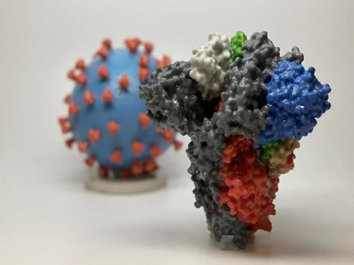 Indian Covid-19 mutation