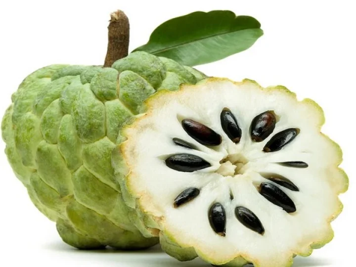 Custard Apple