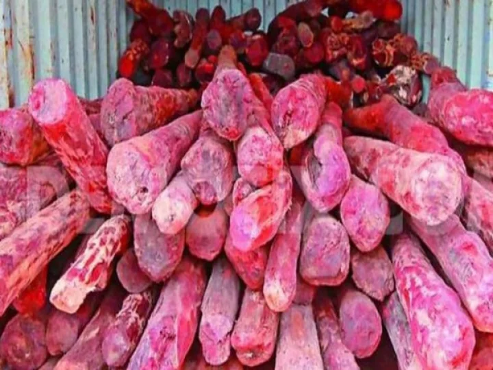 Red sandalwood