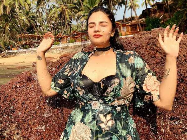 anchor sreemukhi
