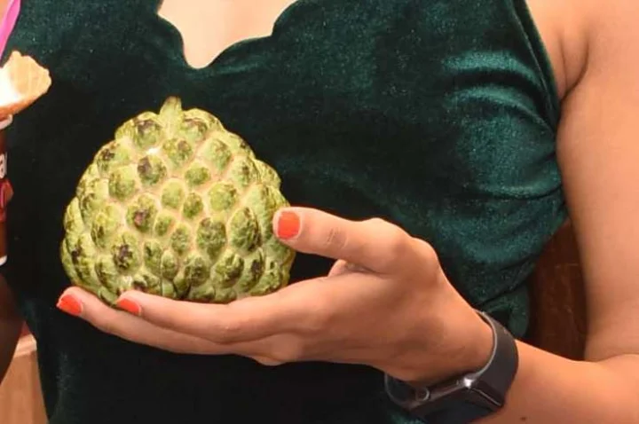 Custard apple