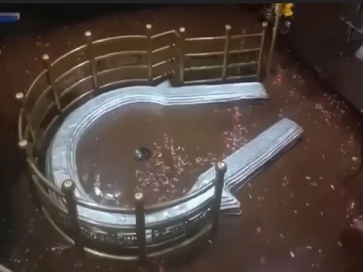 Bhimashankar Jyotirlingam