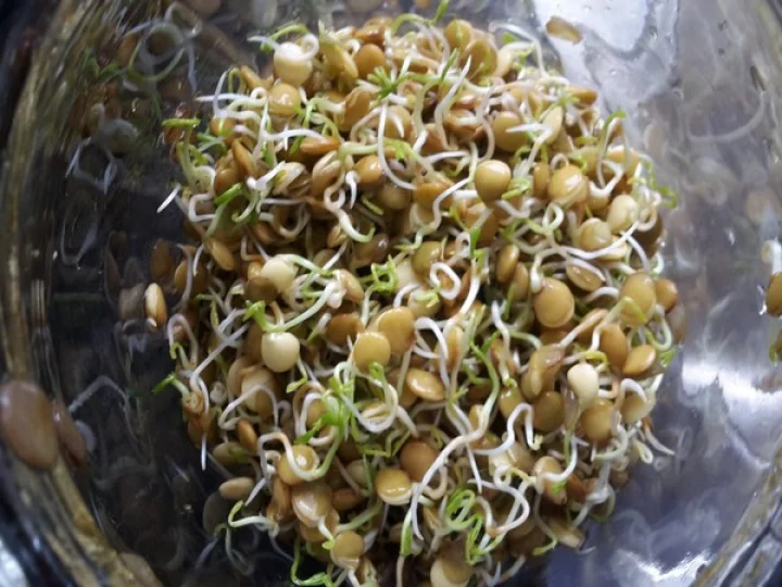 Sprouted seeds