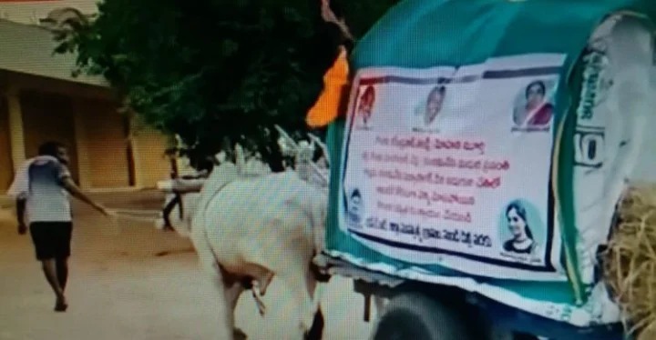 bullock cart