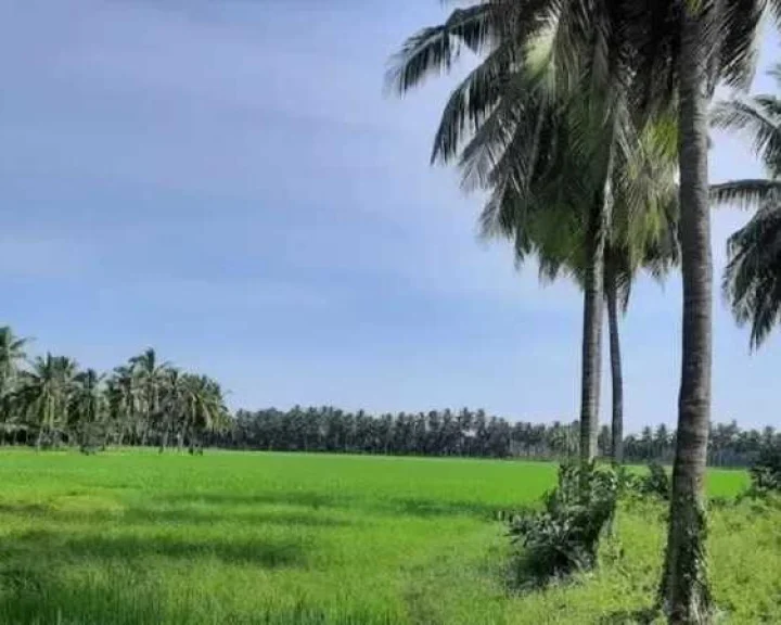 webdunia