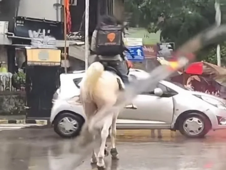 Swiggy employee delivers