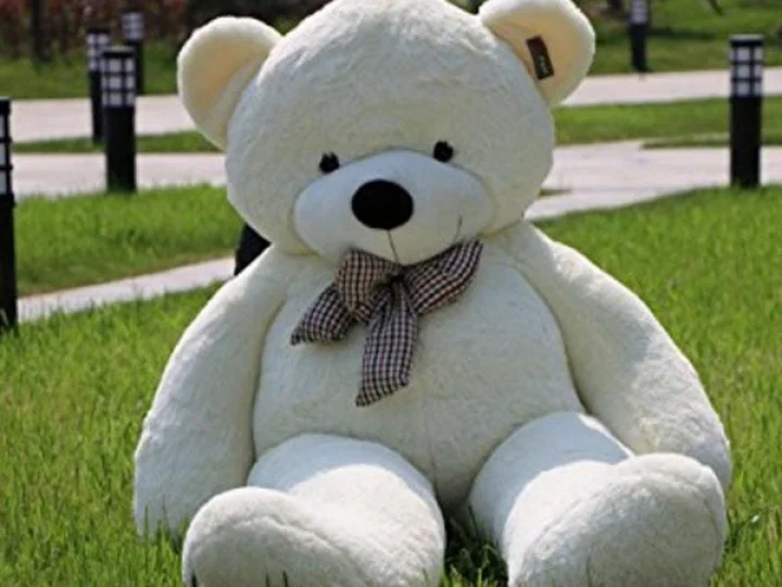 Teddy