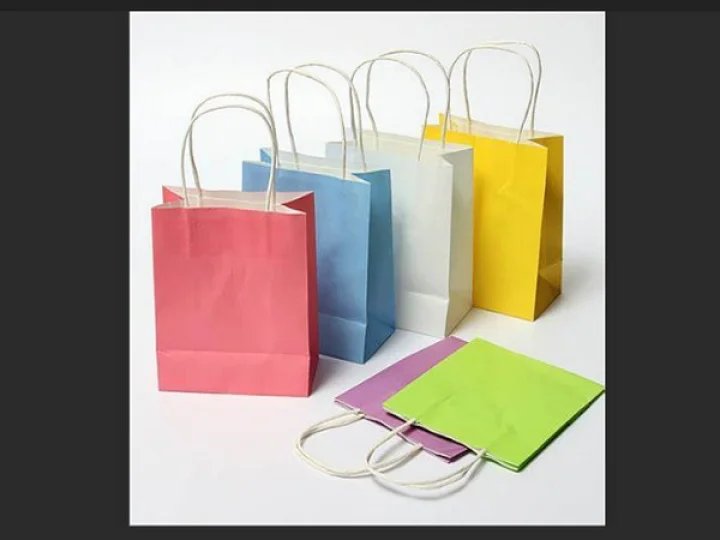 Paper Bags
