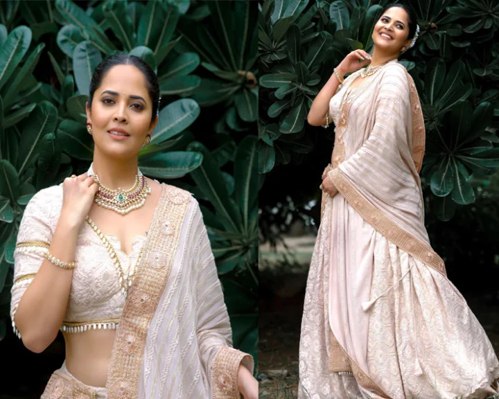 Anasuya's beauty