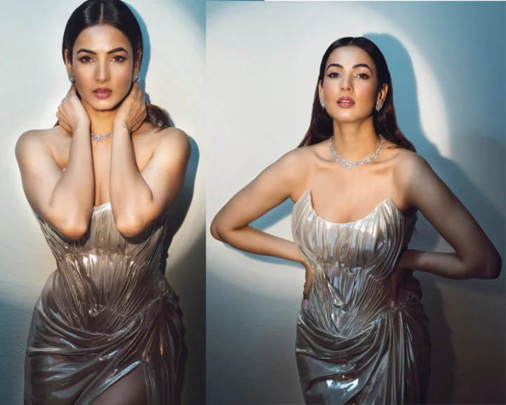 Sonal Chauhan