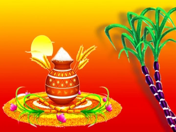Pongal