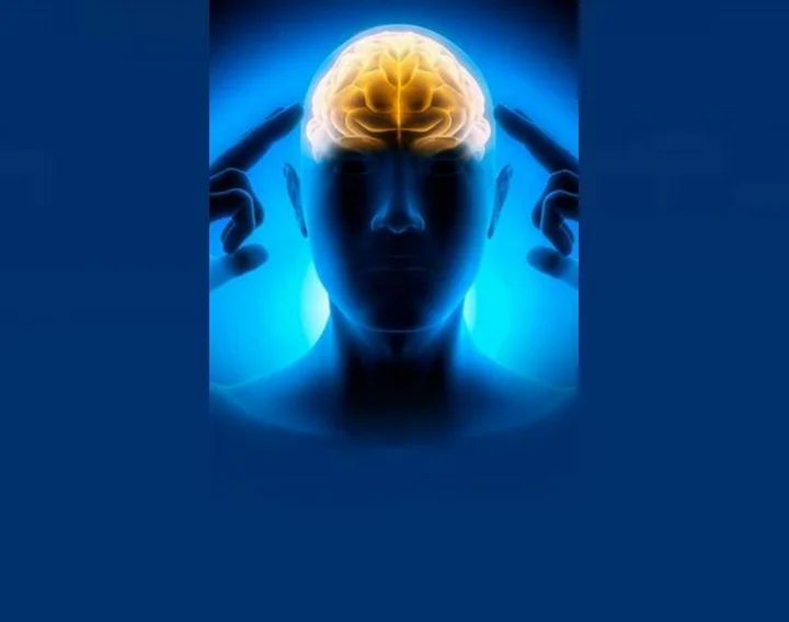 brain