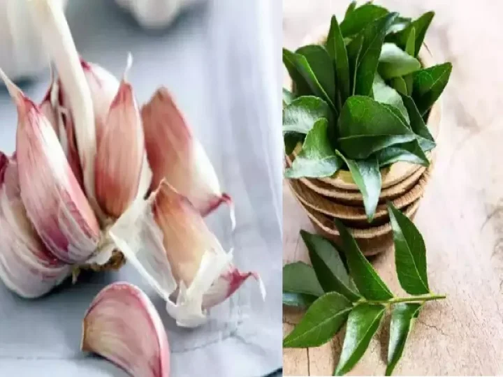Garlic_Curry Leaves