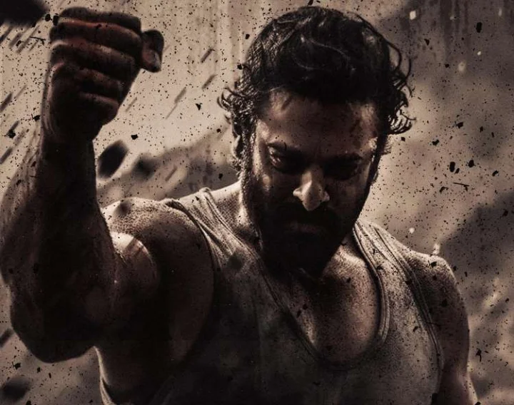 Salaar Cease Fire movie review