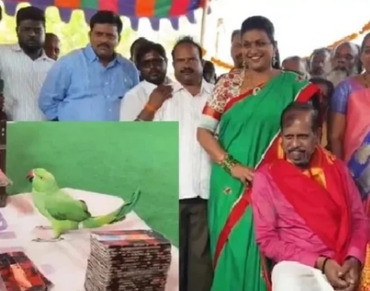rk roja