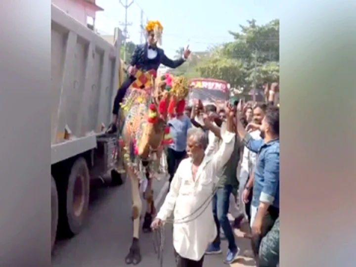 ఒంటెపై స్వారీ చేసిన వరుడు.. కేసు పెట్టిన పోలీసులు.. ఎక్కడ?