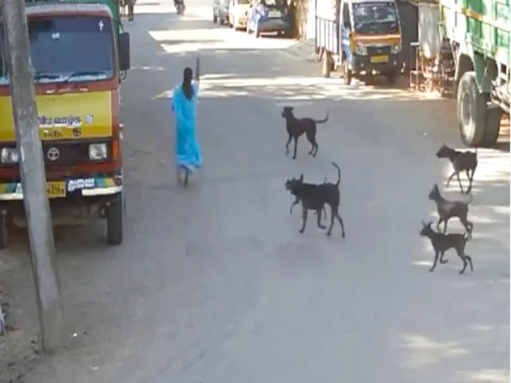 chain snatchers in chennai