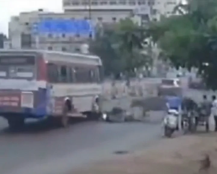 cow attack on biker