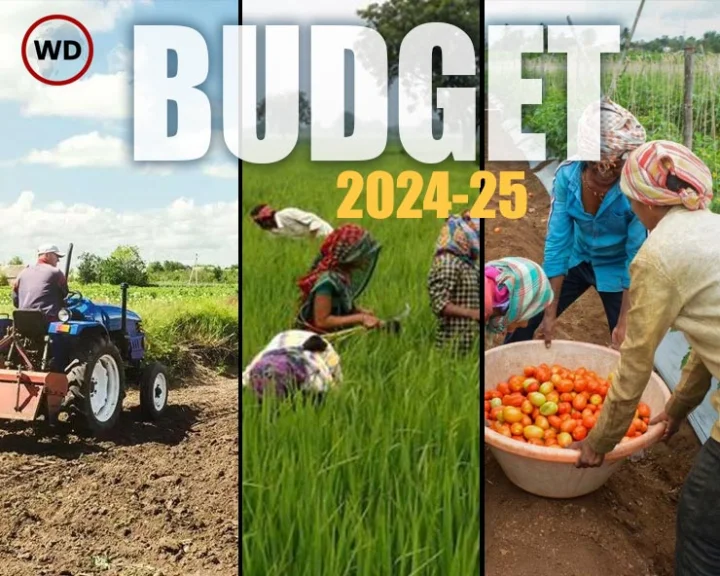budget