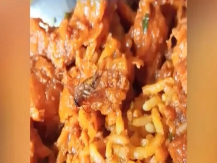 Cockroach in Biryani