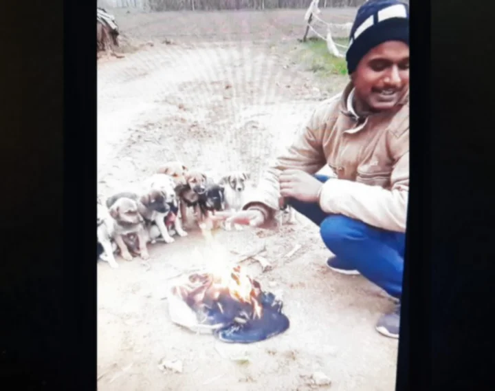 young man lights campfire for puppies