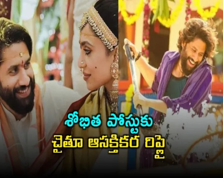 naga chaitanya - saipallavi