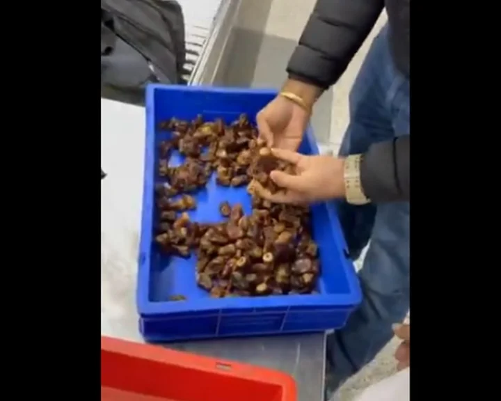 dates
