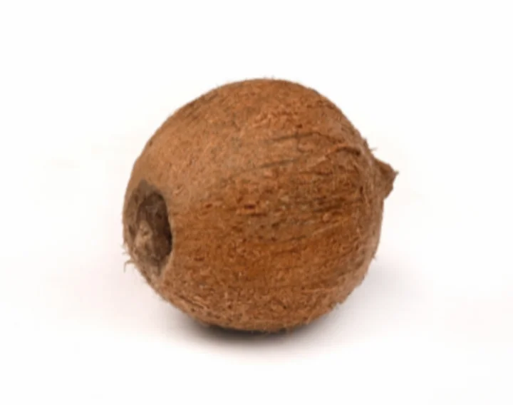 Ekakshi coconut: ఎంత కష్టపడి సంపాదించిన డబ్బు నిలవట్లేదా..? అప్పుకు ఏకాక్షి నారికేళంతో చెక్?