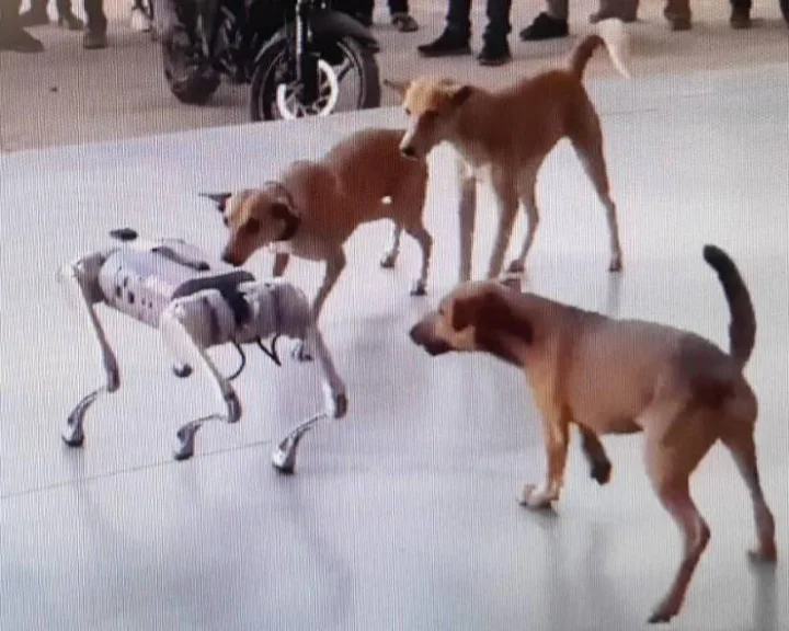 రాష్ట్ర ప్రధాన కార్యదర్శులపై సుప్రీం ఆగ్రహం.. 3న రావాలంటూ ఆదేశం