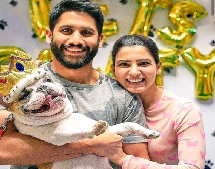 nagachaitanya _Samantha