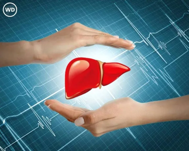 World liver Day 2025