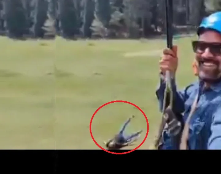 pahalgam terror attack