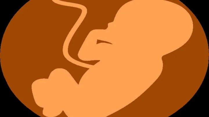 Surrogacy scam case