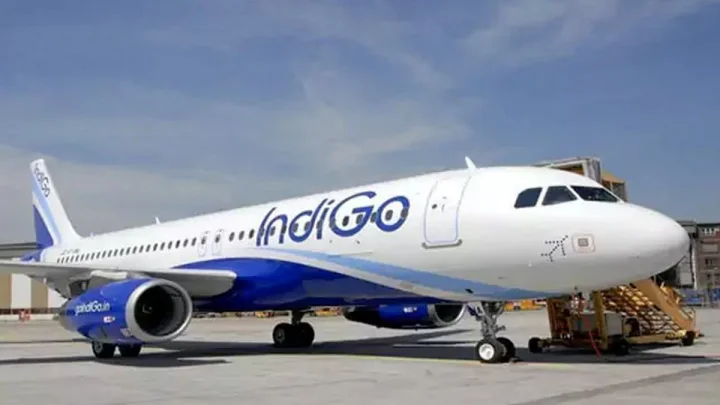 indigo flight