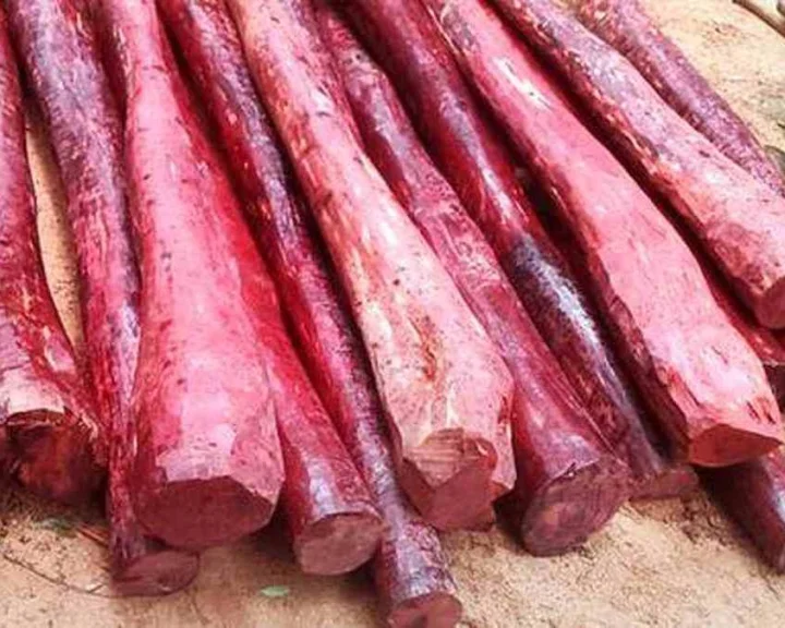 నాయుడుపేటలో 12 ఎర్రచందనం దుంగల స్వాధీనం.. ఇద్దరు స్మగ్లర్లు అరెస్ట్