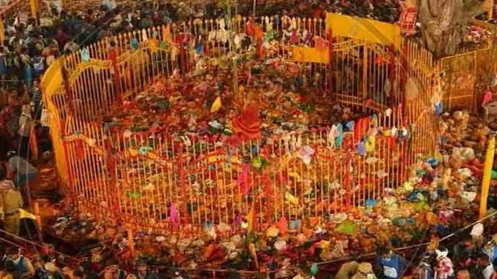 Sammakka