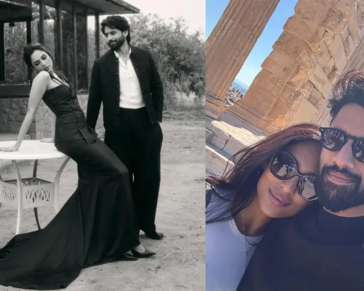 Shobitha Dhulipala: క్లౌడ్ కిచెన్ గురించి పోస్ట్ పెట్టి శోభితను పడేసిన నాగచైతన్య