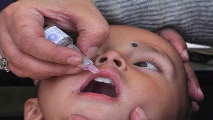 polio drop
