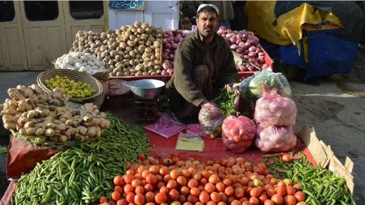 pav veg vendor